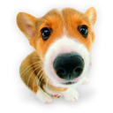 Puppy (2) icon
